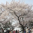 영등포로 이미지