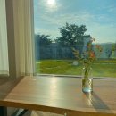 그해, 경주 이미지