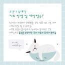 더블유동물의료센터 이미지