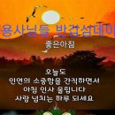 11월15일(금)숭이님들 출석하숑 이미지