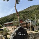 서들1길 | [문경] 문경 신상 대형카페 '카페 서들' 방문 후기