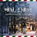 메리포레스트