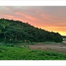 창기초등학교 이미지