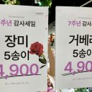 스노우폭스제주 이미지