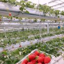 건이농장 이미지