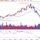 크라운 캐슬 이미지