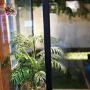 시민식육식당 이미지