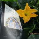 운명을 보는 별자리 점성학 이미지