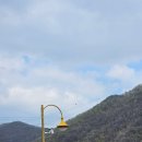 반월공원 | 군포 반월호수공원 주차 및 벚꽃 구경