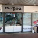 리얼독스 강아지분양 일산본점 | [일산 강아지분양] 믿고 찾는 리얼독스 일산본점 방문 후기 🐶💛