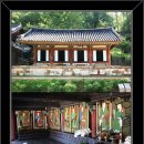 순천-56호 티스토리