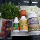 영세농장 이미지