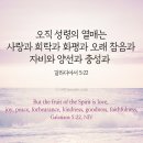 [오늘의 묵상칼럼] 2026.9.6(주일) 오늘의 말씀카드, 365묵상글, 예산수정교회 이미지