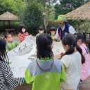 라온숲유치원 이미지