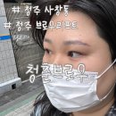 청춘침구 | 청주 사창동 눈썹 청춘브로우 + 브로우리프트 후기