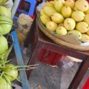 성찬농장 이미지