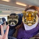 세븐일레븐 경주동천로점 | 1월에는 부산에 갈래요?(1/15~1/16)