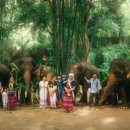 착한 코끼리네 이미지