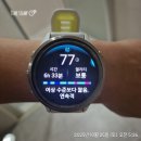 별주부 관광 팬션 | 20251025 / 태안 갯벌 1박 2일 / 하루종일 움직이고 먹는 이야기