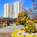 중앙체육공원 이미지