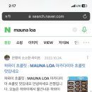 로아(LOA) 이미지