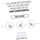 간성에너지 이미지
