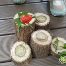 행복숲어린이집 이미지