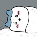왕다육 | 7월 너무 빨리 지나갔어