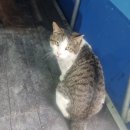 88실내바다낚시터 이미지