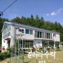 갤러리수락