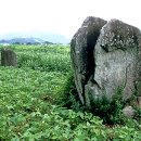 의령 신포리 입석군 | 경상남도 기념물 제192호 의령 신포리 입석군 (宜寧 新浦里 立石群)