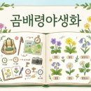 (주)영일만관광 | 포항 스페이스워크 방문 전 알아야 할 최근 경과와 이용 가이드