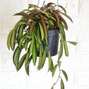 러브웨이 이미지