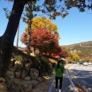 불광유치원 | [북한산여행] 서울 근교 단풍명소, 북한산 원효봉 단풍길 공개!