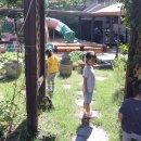 느티나무카정비 이미지