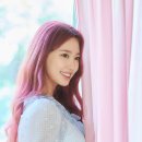 미소조아