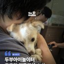 윤성진 안과/외과 동물병원 | [유기견보호소 의료봉사] 윤성진 안과/외과 동물병원 감사합니다!