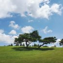 마음숲정신건강의학과의원 이미지