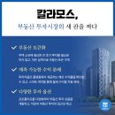 칼라솔루션 이미지