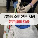 튼튼아이치과의원 | 구월동 소아전문 치과 웃음가스치료 튼튼아이치과 후기