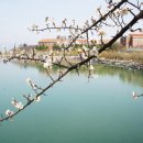 남매공원(들머리공원) 이미지