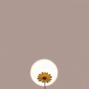 무지개식당 이미지