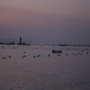 통영등대낚시공원 이미지