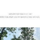 한림어린이공원 이미지