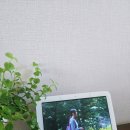 오늘의계절
