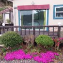 고성 가고파펜션 이미지