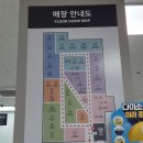 창원 대형 500평 다이소 롯데마트맥스 후기