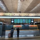 6503 | 상하이 중국남방항공 CZ6503 체크인 수하물 좌석 기내식 탑승구 게이트 스탑오버 환승 후기