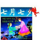 칠월칠석 Daum카페