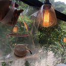 단대레드존 | 프랑스 셰프 출신이 운영하는 르헤브드베베 마카롱 (Le reve de bebe)